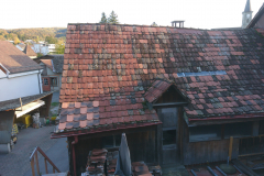 DSC_0058