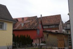 DSCN2310