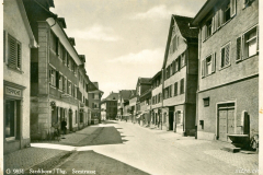 steckbornstrasse6